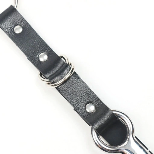 EverydayUse Hook 5853 Collar Leash Anal and Kinky with 0313